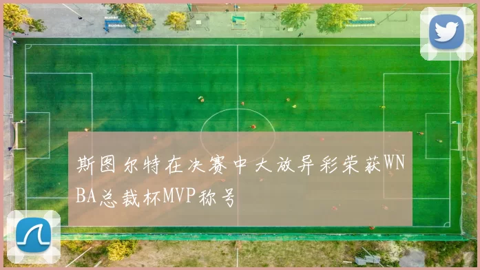 斯图尔特在决赛中大放异彩荣获WNBA总裁杯MVP称号